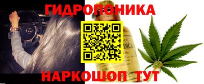 PSILOCYBIN Мариинск
