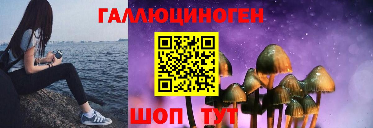 Галлюциногенные грибы прущие грибы Рыбинск